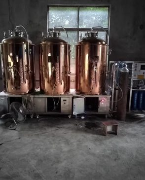 咸宁地区处理整套精酿设备