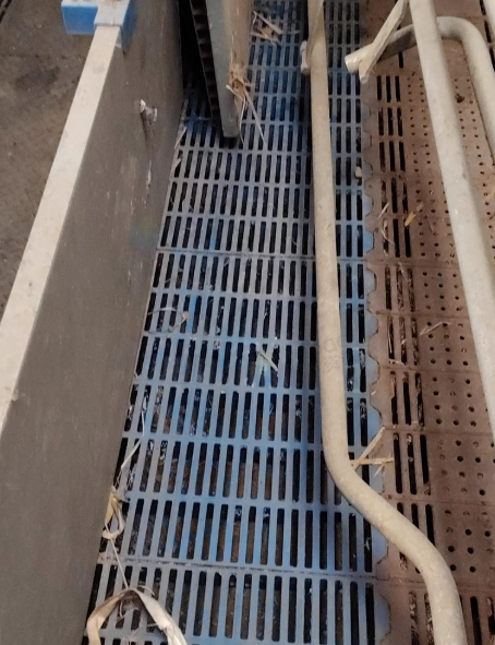 绵阳地区处理养殖场用的铁制产床