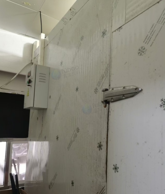 长沙地区店铺处理花店冷库10个平方