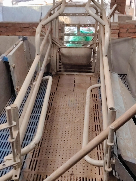 绵阳地区处理养殖场用的铁制产床