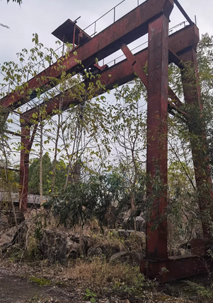 桂林地区处理20吨龙门吊