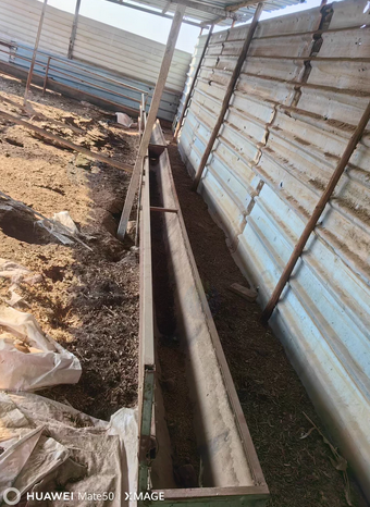 石家庄地区处理羊槽子3米到6米，扎草机，磨面粉碎机，蛟龙机