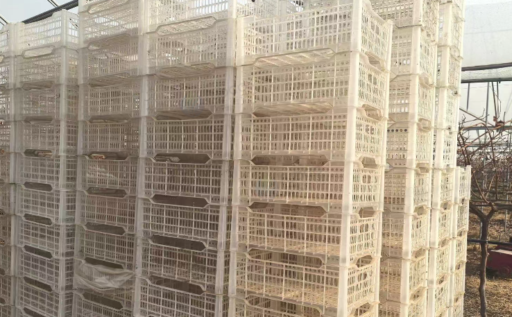 西安地区处理周转筐、防草布、打药机