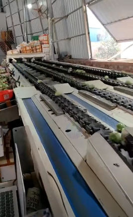 南宁地区个人处理2台分选机