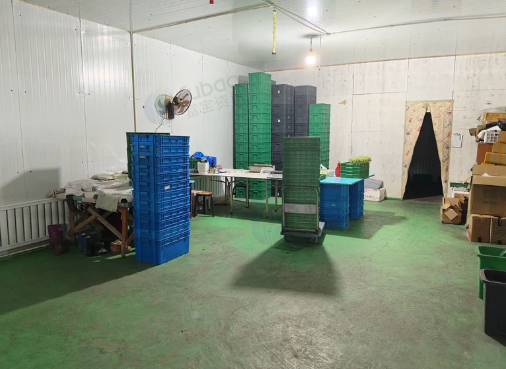 绥化地区处理500平方芽苗菜工厂