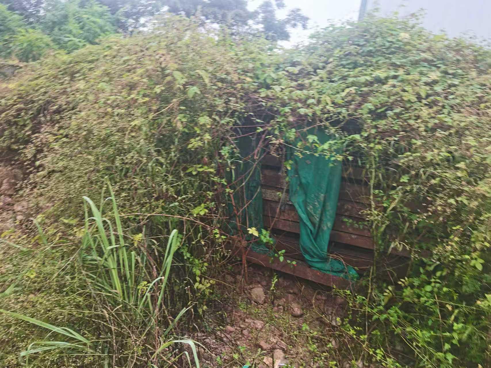 1月30日遂宁一批拆除工程物资处置项目转让公告