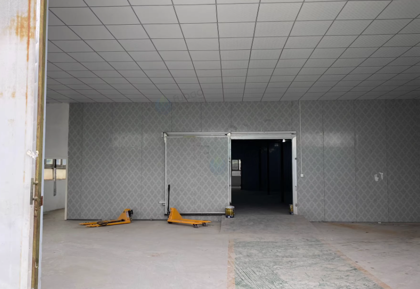 上海地区处理230平方冷库