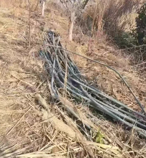 泰州地区处理大棚钢管一批