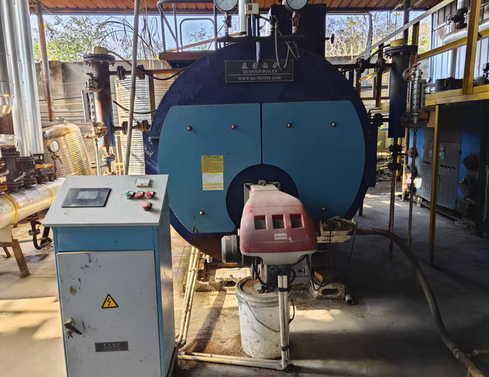 柳州地区公司处理卧式燃气蒸汽锅炉