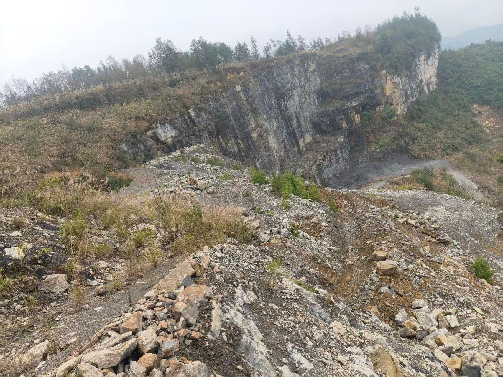 1月16日重庆黔江政府石黔高速黑溪沟段排危项目富余建筑石料用灰岩一批网络拍卖公告