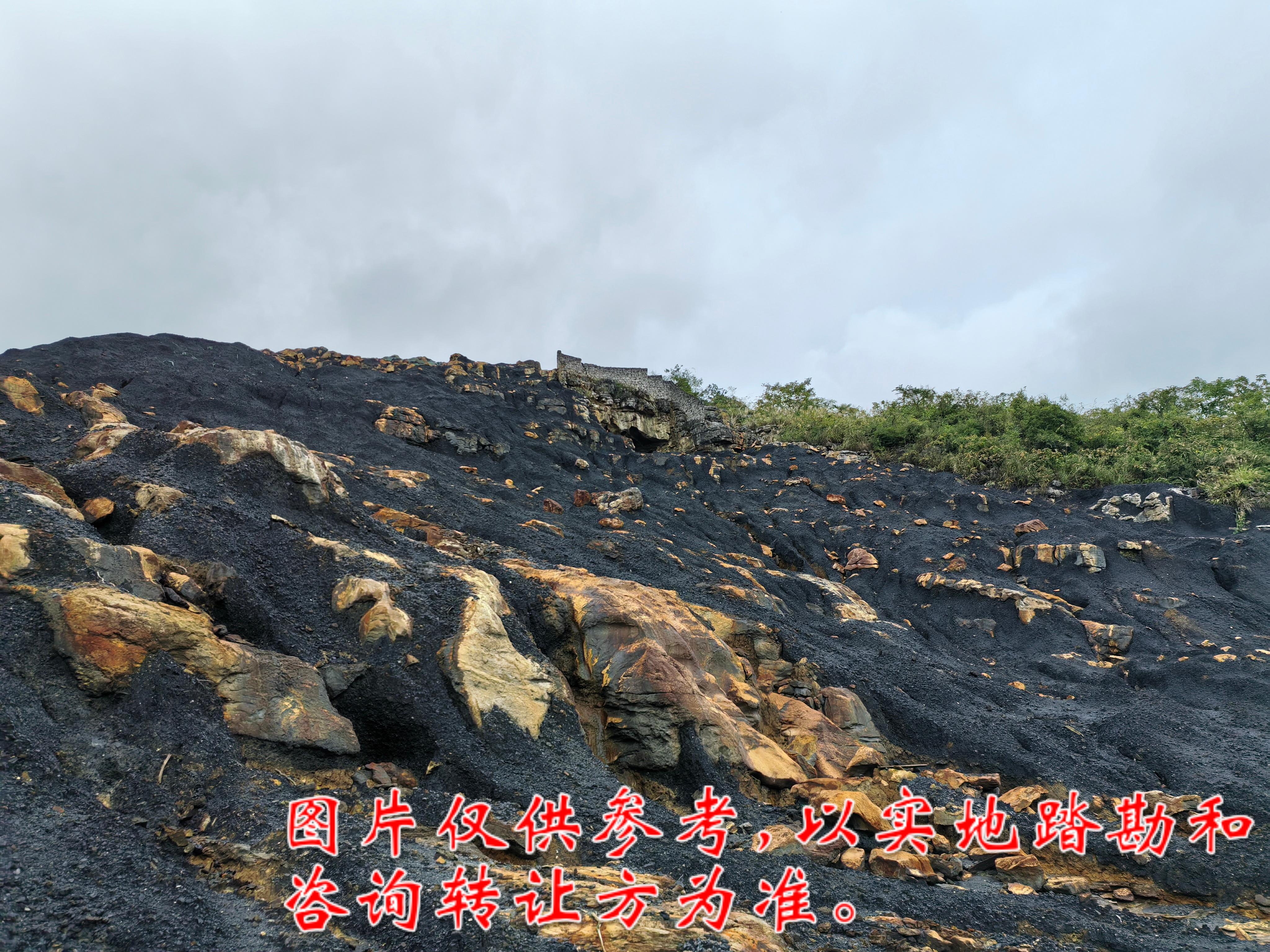 1月22日重庆綦江綦创建设开发公司金鸡岩洗选厂锅圈岩和罗家坝矸石山堆弃物整体转让公告