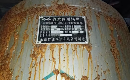 绵阳地区处理汽水两用环保锅炉