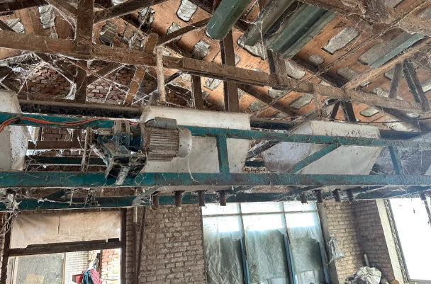 长春地区工厂处理蛋鸡上料机