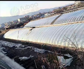 太原地区处理大棚卷帘机