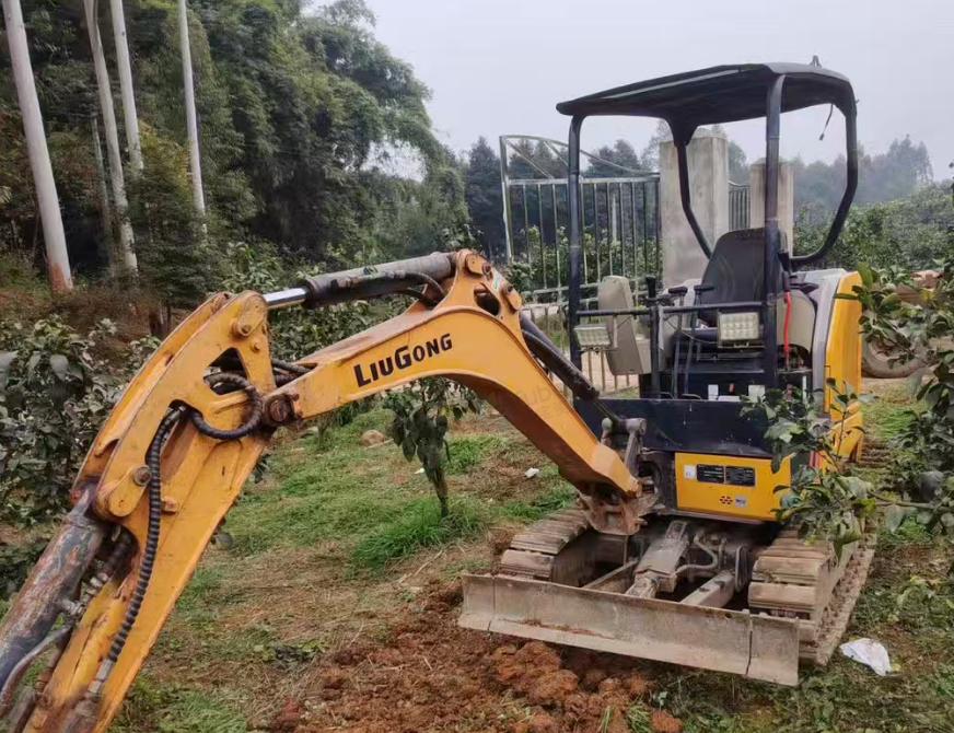 成都地区处理极品薇挖