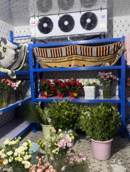 成都地区处理品牌冻库