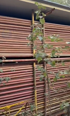 十堰地区处理1批钢管扣件