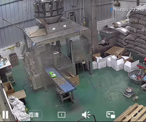 石家庄地区处理瓜子花生颗粒自动包装机