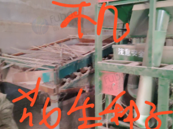 青岛地区处理花生果开口机 花生种子机 花生称重机