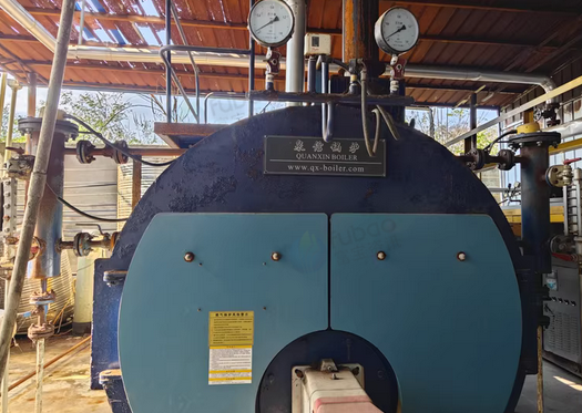 柳州地区公司处理卧式燃气蒸汽锅炉
