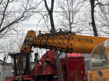 菏泽地区处理16吨自制吊