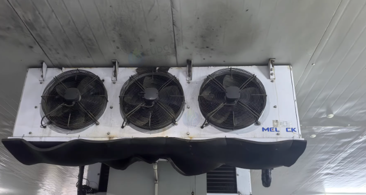 南京地区处理25P美乐柯冷凝机组冷库