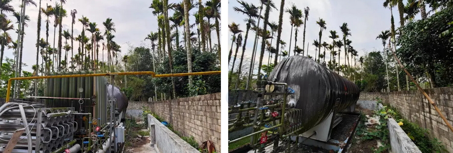 海口地区工厂处理槟榔加工全套设备