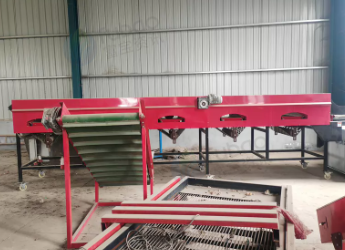 菏泽地区处理大蒜中型6级分拣机