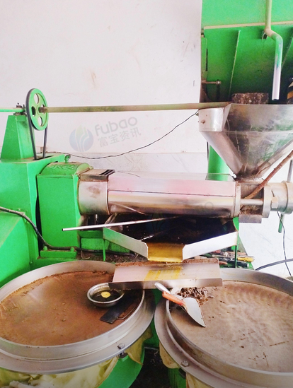 十堰地区个人处理生熟两用榨油机