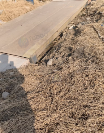 临沂地区个人处理电子地磅