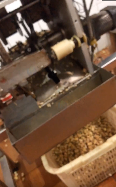 湘潭地区处理蚕豆加工机器