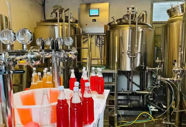 苏州地区工厂处理精酿啤酒全套设备
