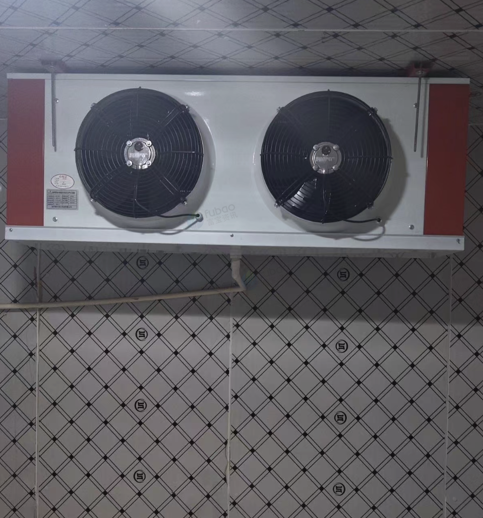 东方地区处理冷库