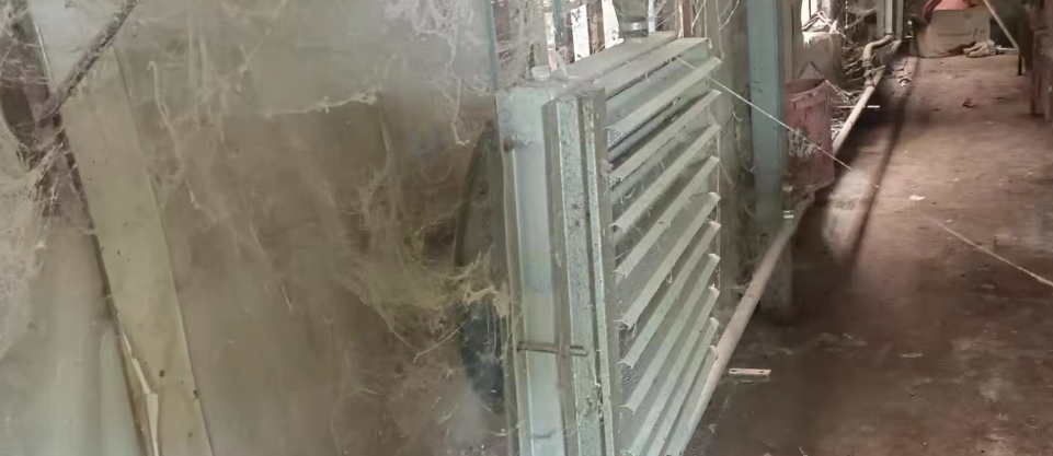 红河地区鸡场处理脱温锅炉风机、小鸡脱温笼45组、切片机、绞肉机