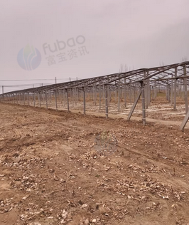 滨州地区处理大棚3个