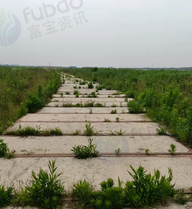 上海地区处理300块水泥路基板