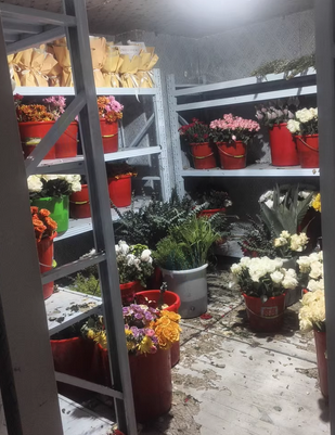 上海地区花店处理鲜花冷库