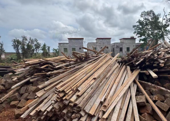 湛江市地区处理一批顶木