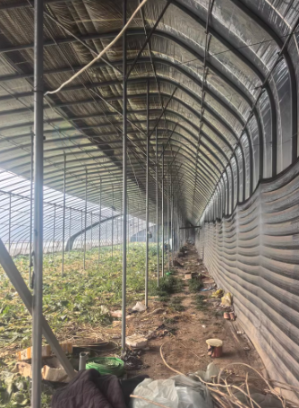 聊城地区处理30-75-2热镀锌椭圆管骨架