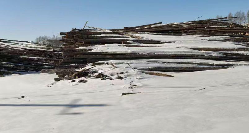 呼和浩特市地区处理六七万吨松木桦木