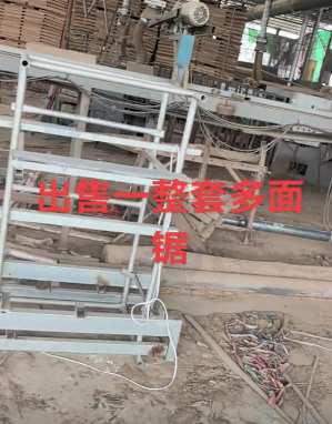 柳州地区木业公司处理整套多面锯设备