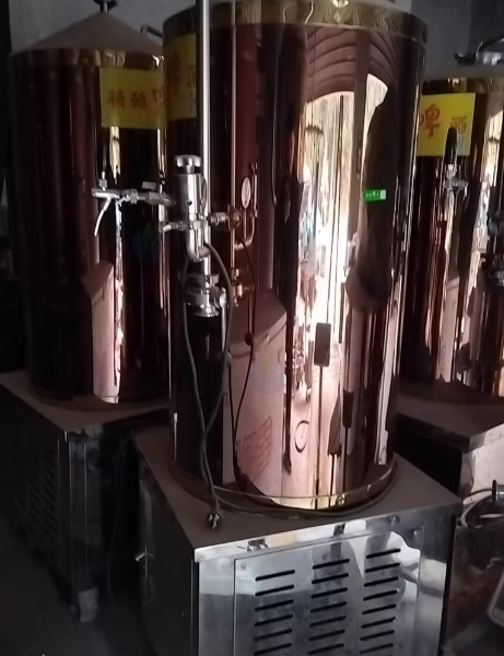 资阳市地区处理精酿啤酒售酒机100L发酵罐7台