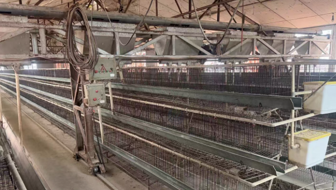 秦皇岛市地区处理蛋鸡养殖场全套设备