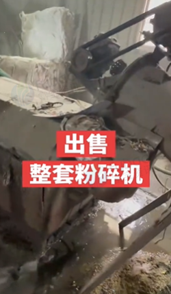 泰州市地区工厂处理100型山东临沂花刀粉碎机、绞龙、脱水甩干机、吸铁机一套