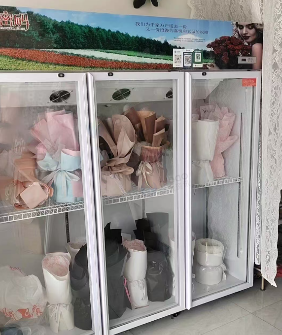 松原市地区处理风冷保鲜柜