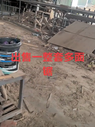 柳州地区木业公司处理整套多面锯设备