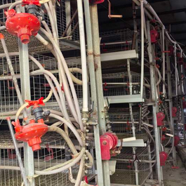 池州市地区处理元宝鸡笼整体、输送带