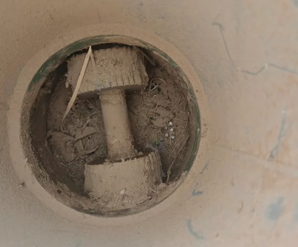 吴忠市地区处理闲置颗粒饲料机