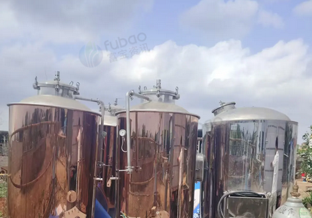 海口市地区处理全新自酿小麦啤酒机