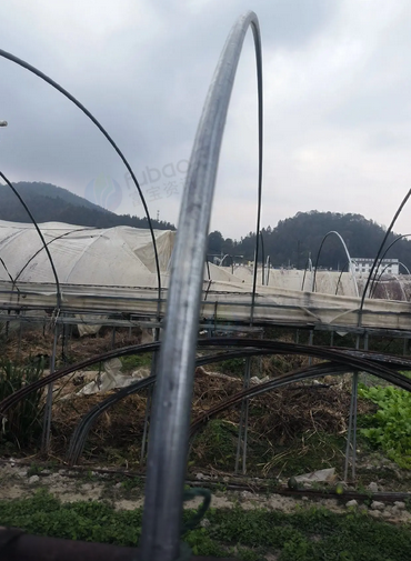 百色地区处理镀锌钢管大棚